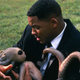 Will Smith in Men in Black (IMDb)